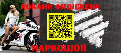 гашик Жуковский