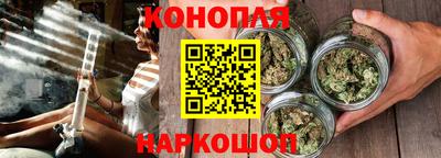гашик Жуковский
